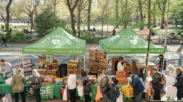 Sharing Excess community market
