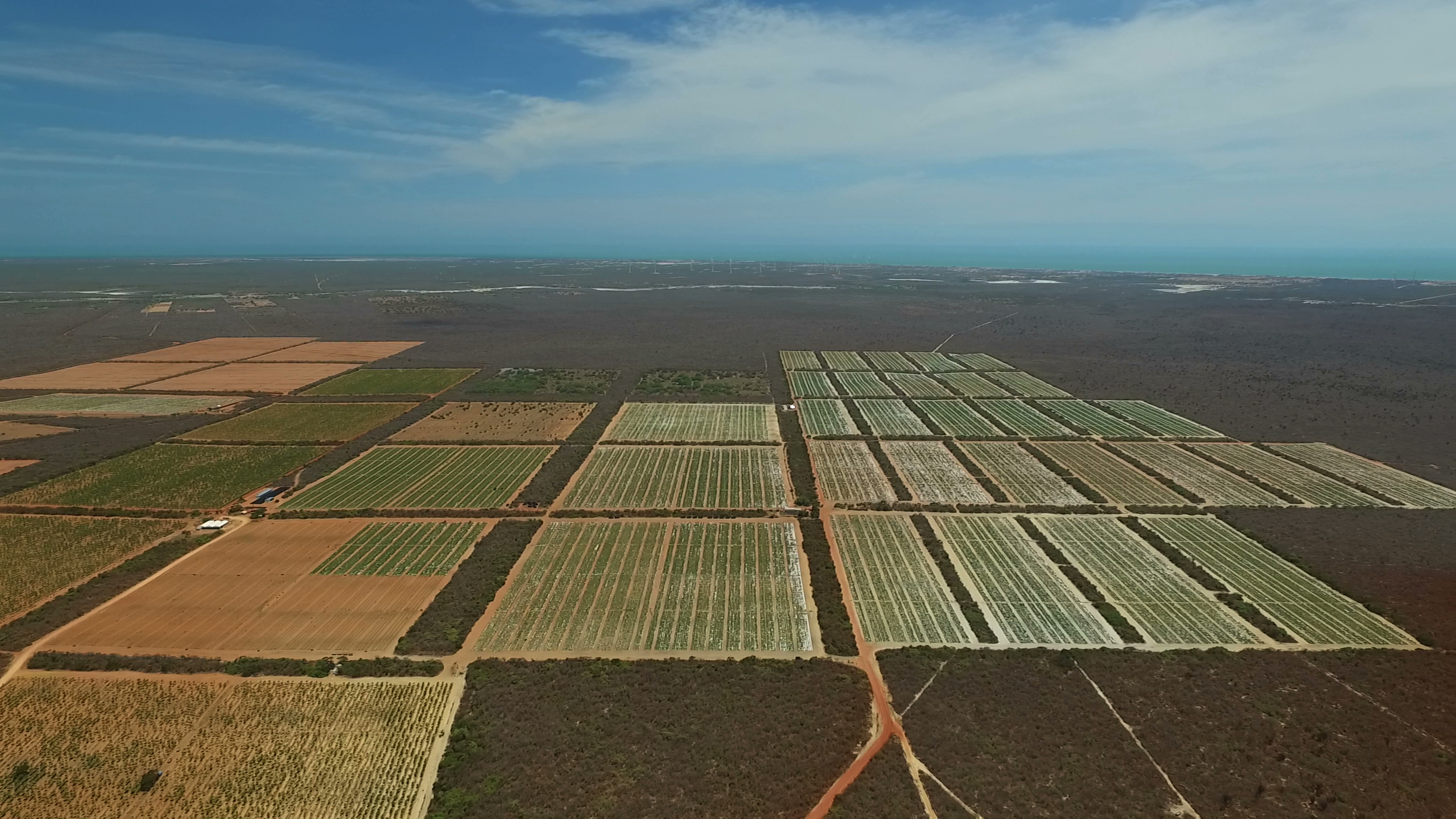 Agrícola Famosa — aerial view of farm operations with Brazilian coast
