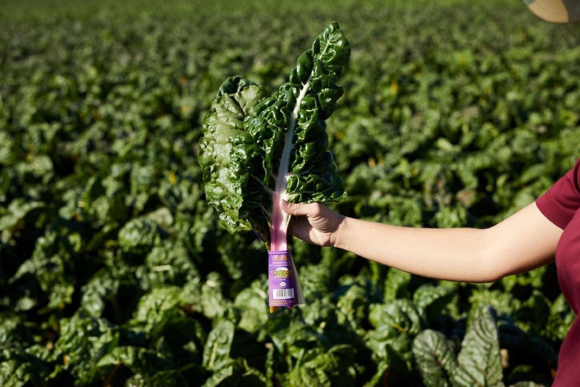 Cal Organic Farms produce