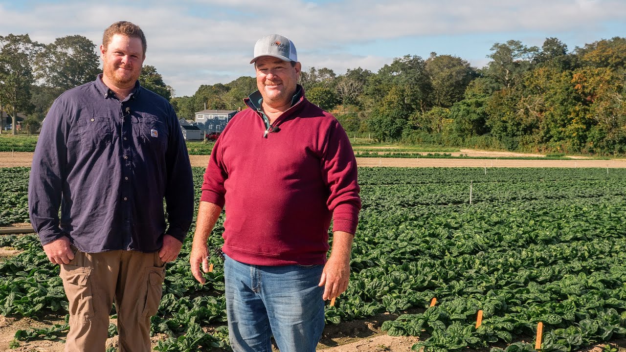 Deer Run Farms