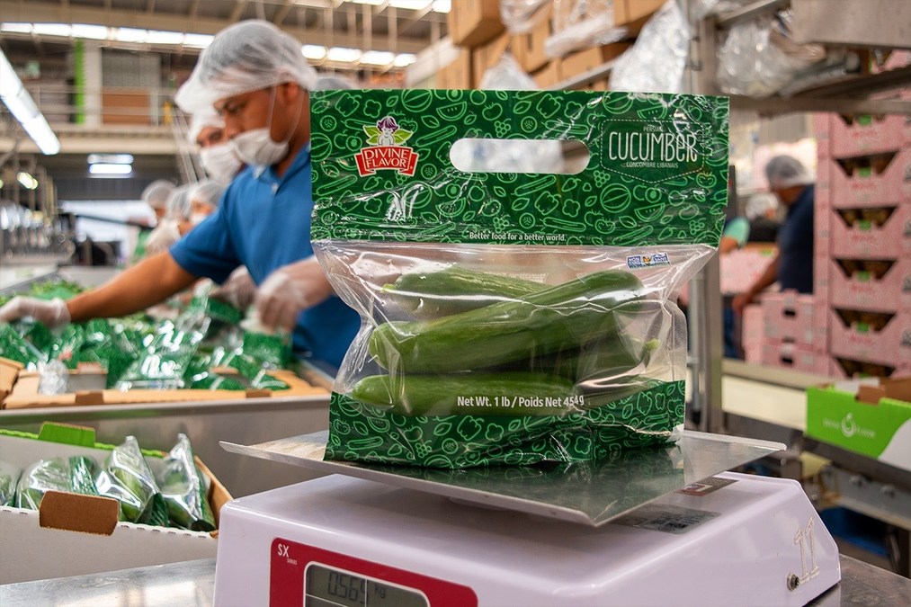 Divine Flavor packing house operations