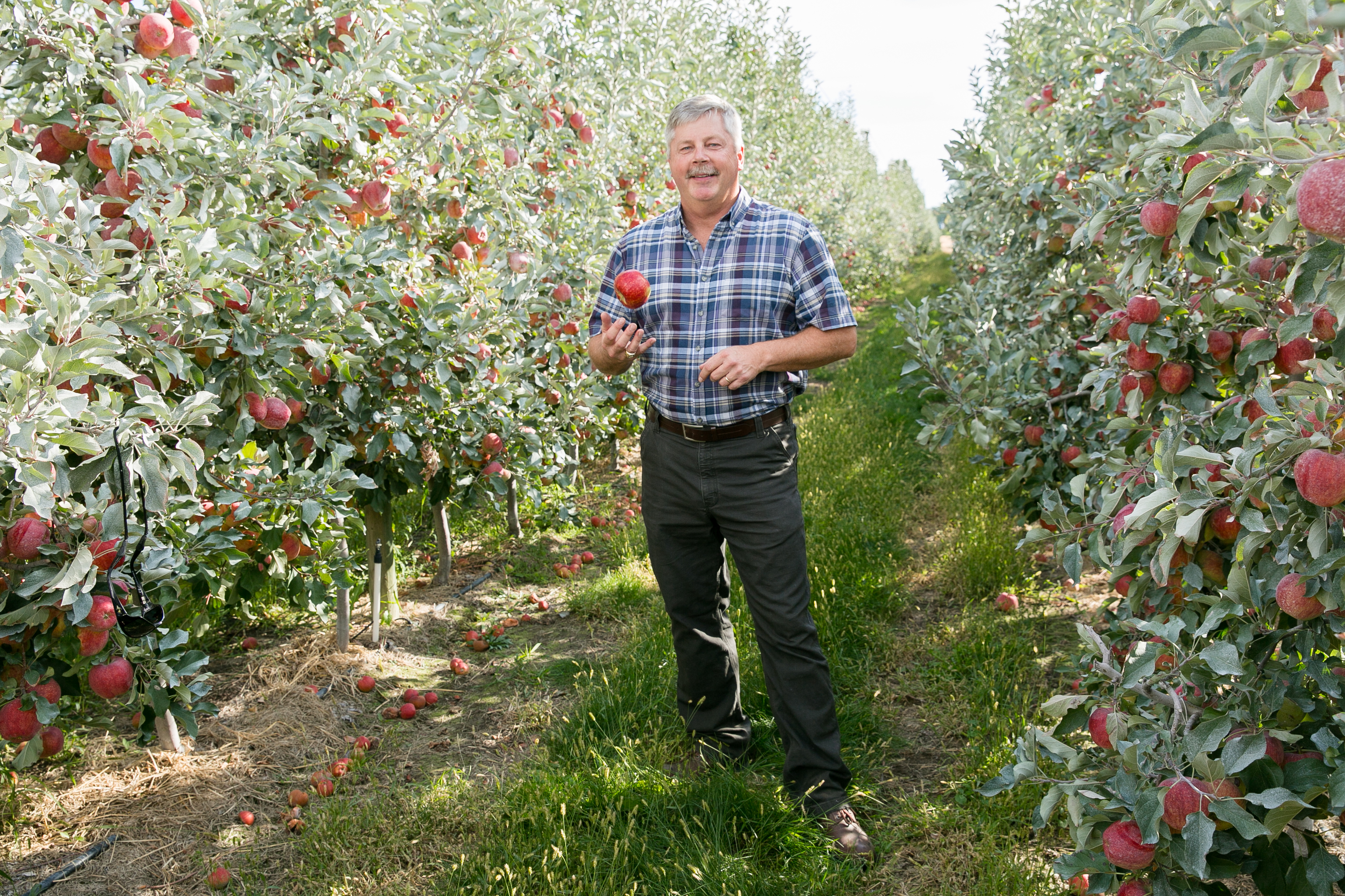 Jim Divis — Honeybear Brands