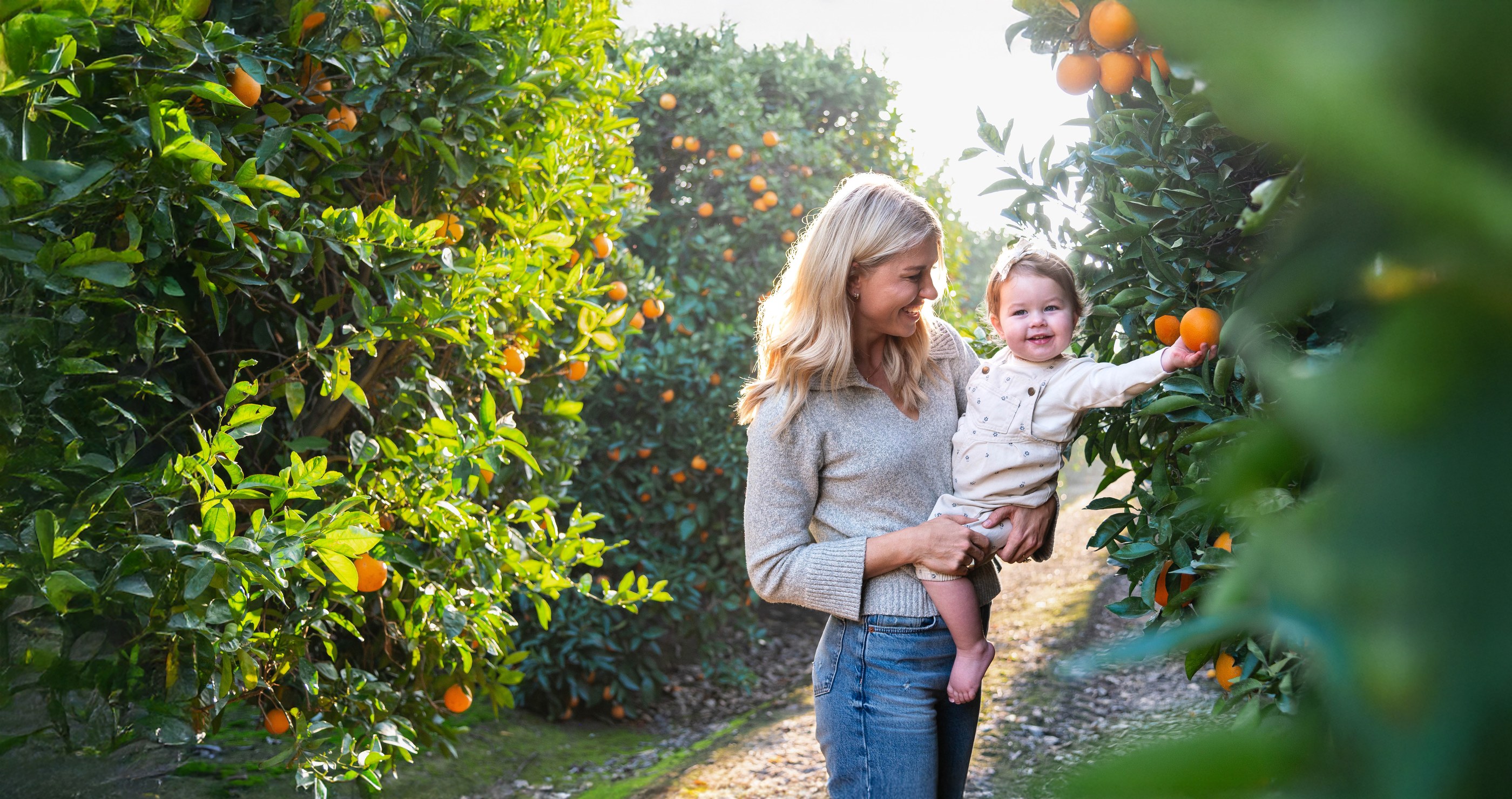 Kings River heirloom citrus varieties