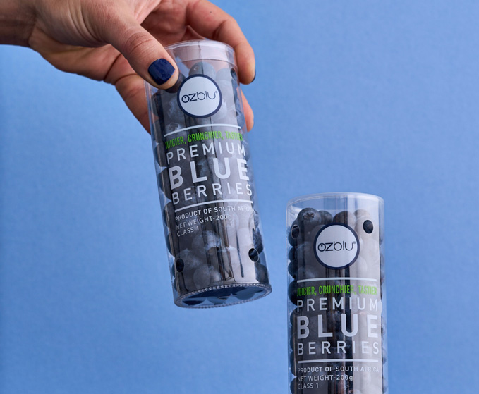 OzBlu premium blueberries in signature tube packaging — Product of South Africa