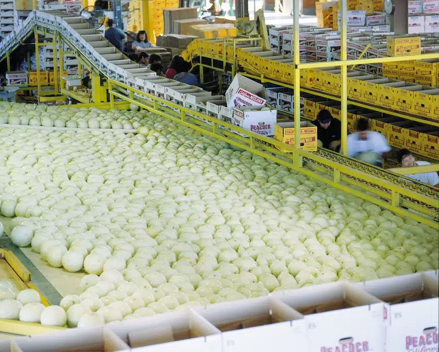 Turlock Fruit Company packing house