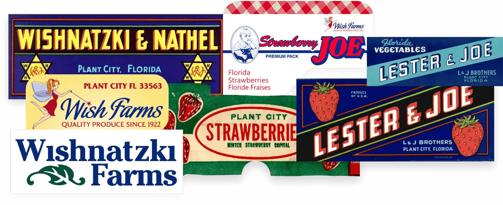 Wishnatzki & Nathel / Wish Farms logos