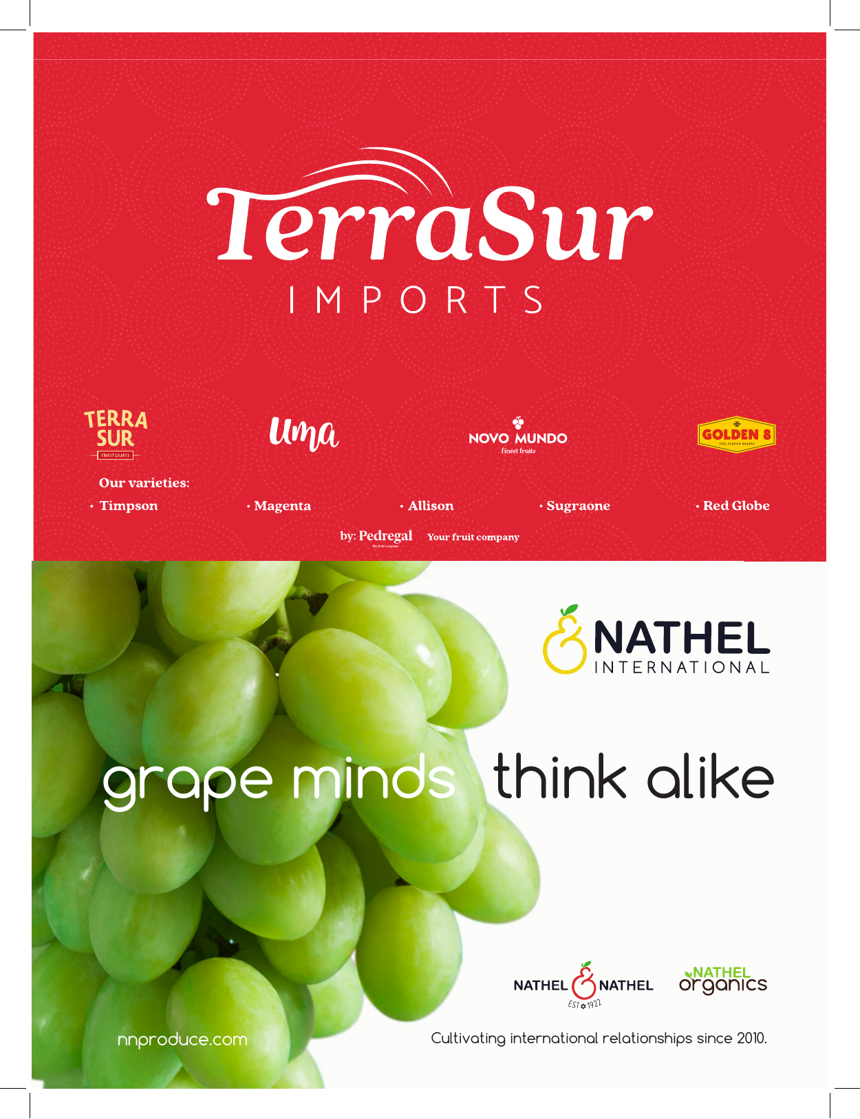 TSI Nathel International Ad