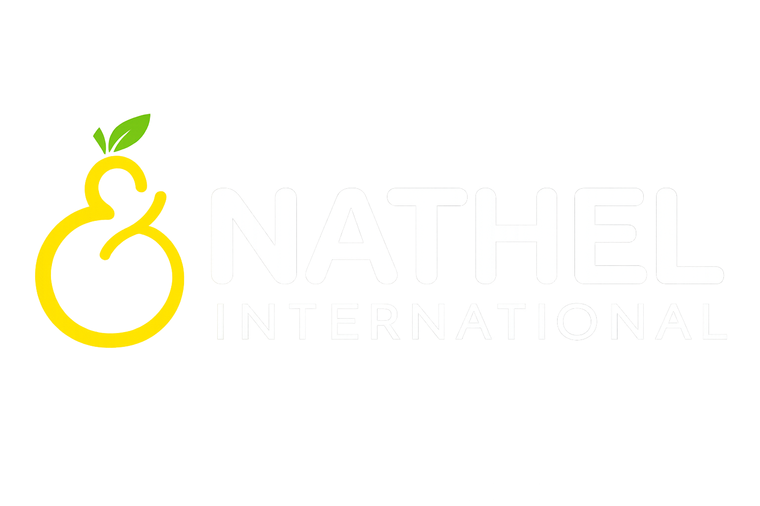 Nathel International