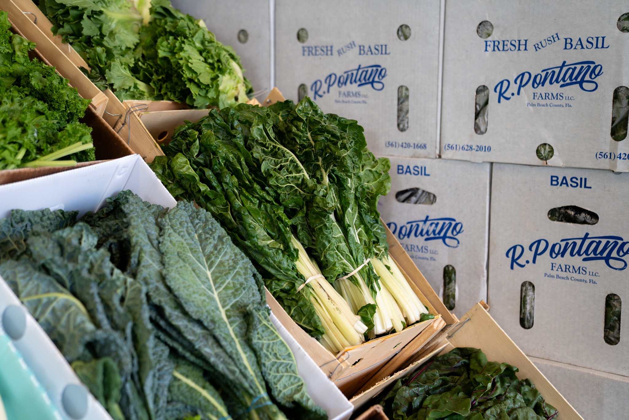 Fresh Produce at the Market